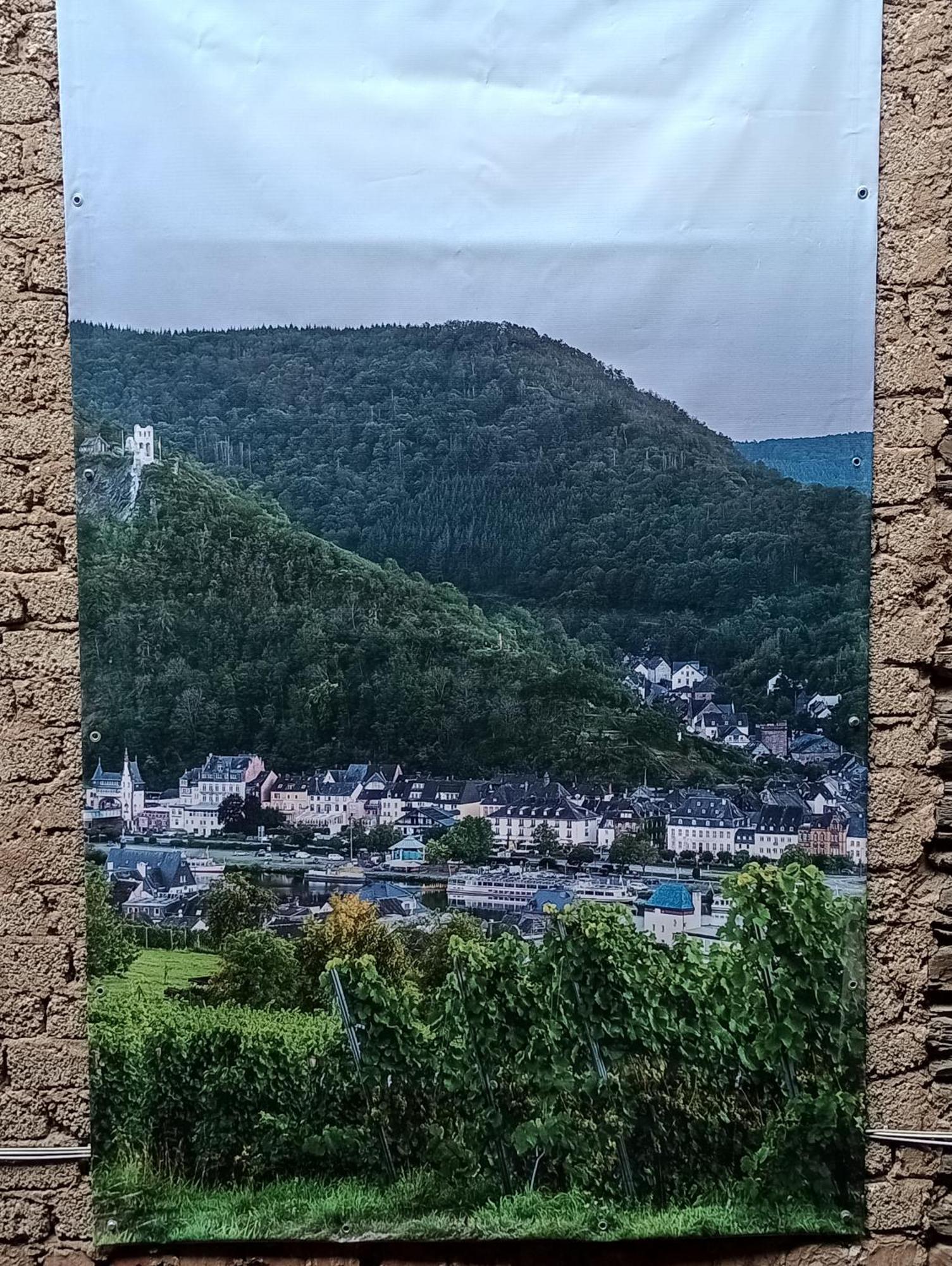 Alte Brennerei Apartments Traben-Trarbach Bagian luar foto